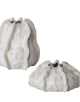 Urchin - Textured Vases (Set of 2) - Ivory