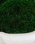 Awaken Moss - Centerpiece - Green / White
