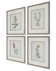 Heirloom Blooms - Study Framed Prints (Set of 4) - Green
