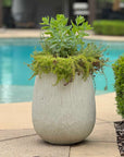 Rustic Ridge - Outdoor Planter - Off-White