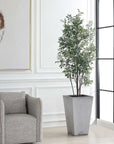 Sonora Olive - Tree In Planter - Gray / Green