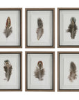 Birds Of A Feather - Framed Prints (Set of 6)