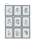 Farmhouse Florals - Framed Prints (Set of 9) - Black