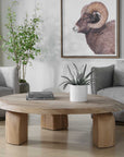 Tiernan - Reclaimed Oak Round Coffee Table - Woodtone