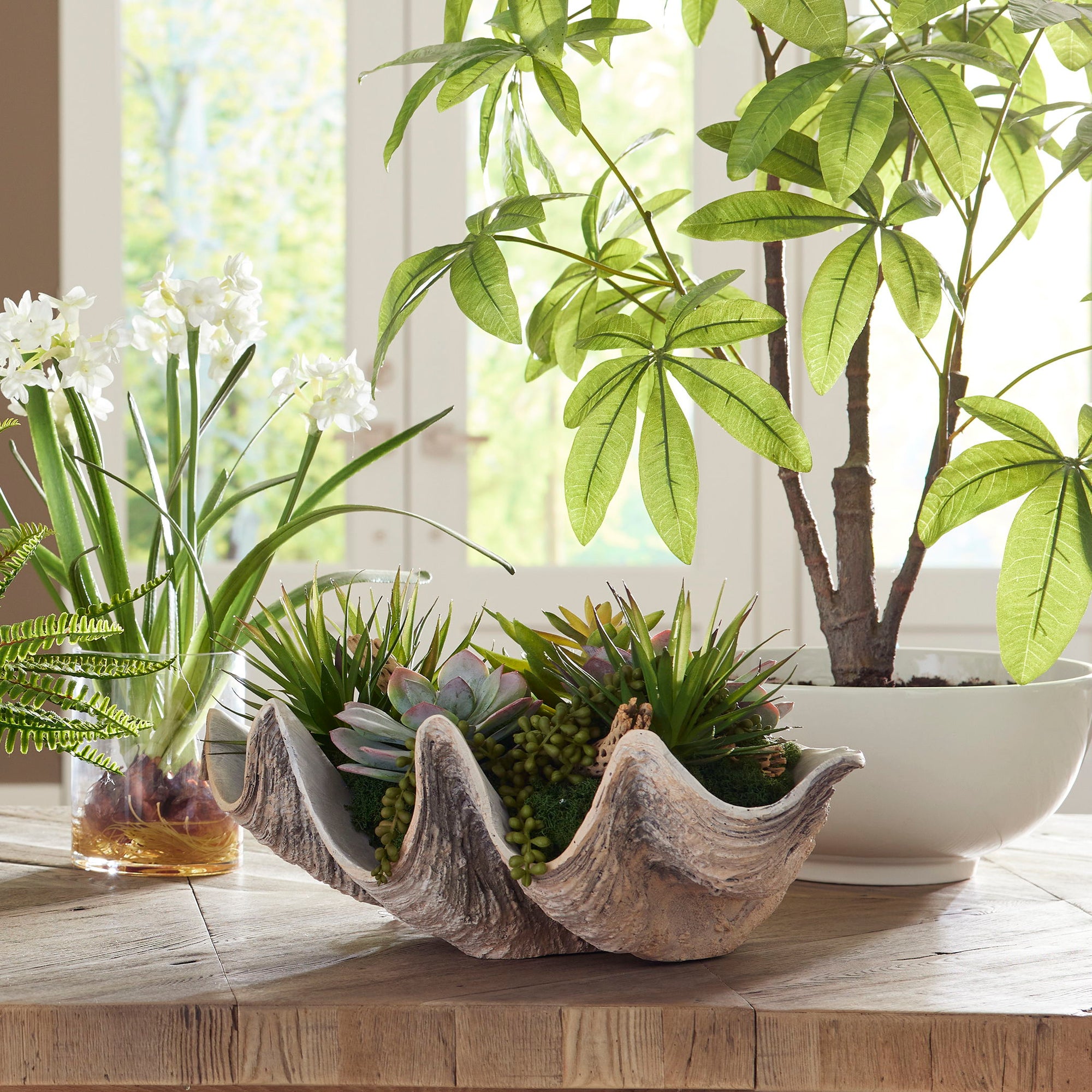 light colored succulents Seaside Breeze - Succulents