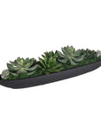 Verde - Succulent Centerpiece In Bowl - Black / Green