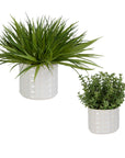 Edgewood - Greenery (Set of 2) - Pearl Silver