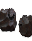 Ember Root - Teak Sculpture (Set of 2) - Black