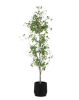 Boreal - Potted Birch Tree - Gray / Green