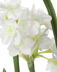 Lacey Daffodil - Accent Arrangement - White