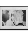 Eyes On The Prize - Framed Print - White