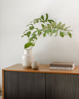 Araya - Sideboard - Walnut Veneer