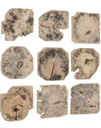 Bahati - Wood Bleached Wall Decor (Set of 9) - Brown