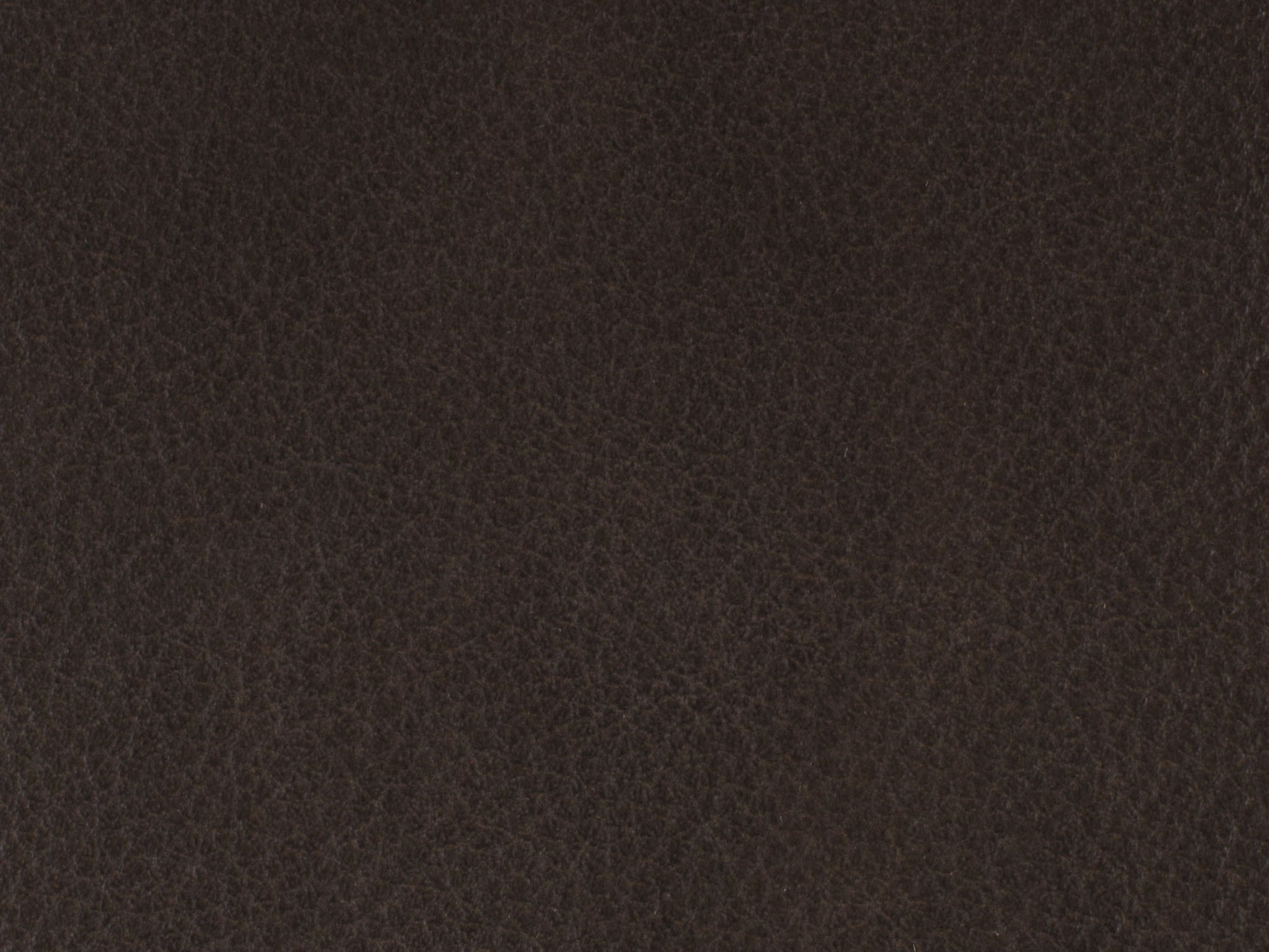 EC - Lynn Executive Swivel Chair