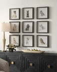 Loyal Companion - Framed Dog Prints (Set of 9)