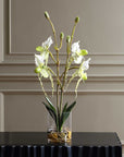 Lady - Slipper Orchid In Glass Vase - Green,White