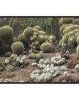 Cactus Group - Photography by Michael D-Avello