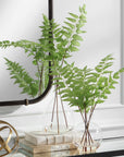 Country - Ferns (Set of 2)