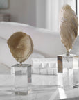 Oyster - Shell Sculptures (Set of 2) - Beige