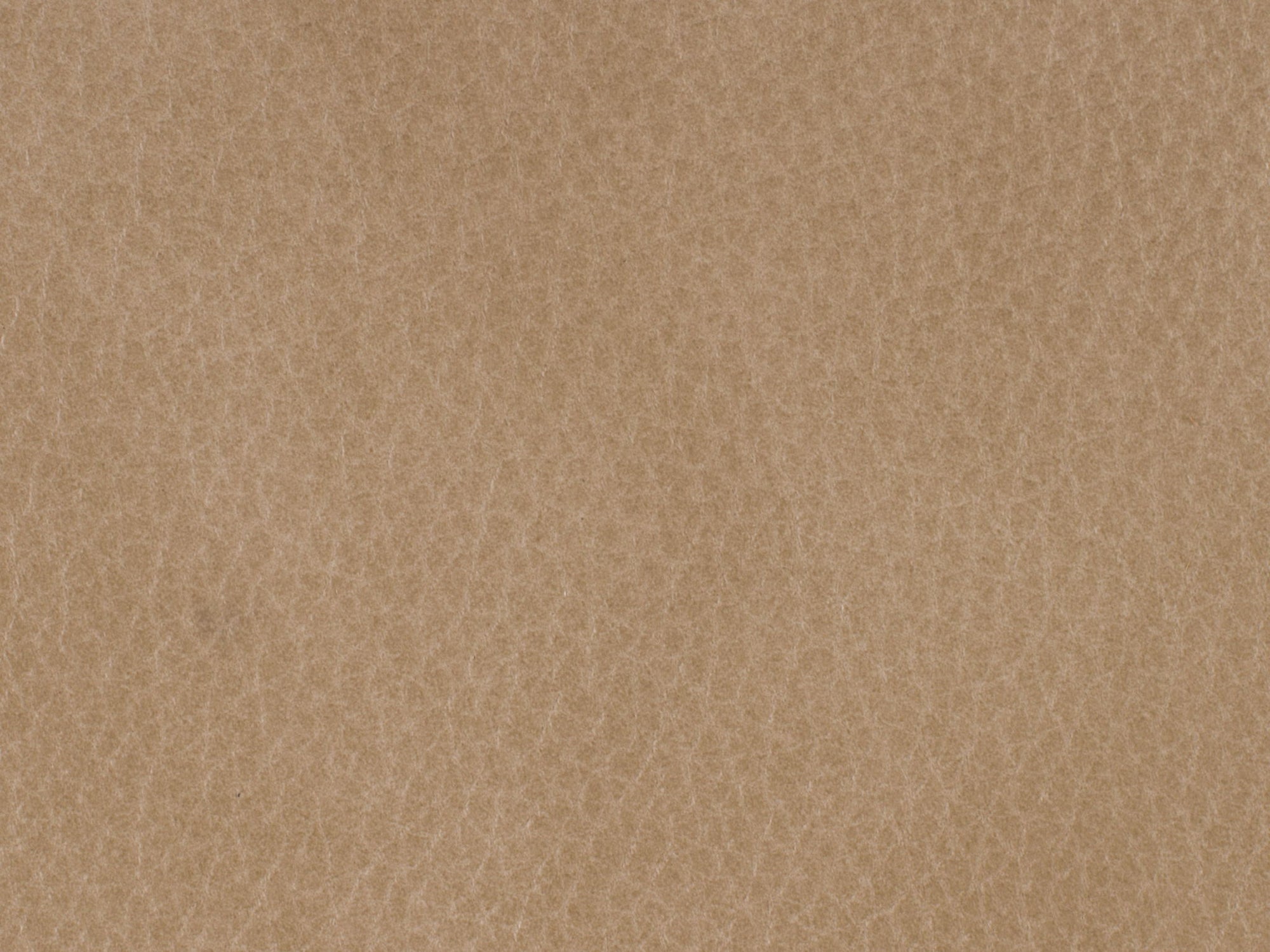 EC - Lynn Executive Swivel Chair