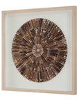 Tiger Sea Urchin - Shadow Box - Brown