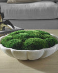 Awaken Moss - Centerpiece - Green / White