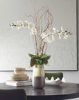 Earthbound Orchid - With Vase - Dark Brown