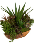 Salar - Succulents In Teak Bowl - Light Brown