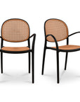 Soren - Outdoor Dining Chair (Set of 2) - Black