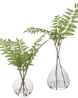 Country - Ferns (Set of 2)