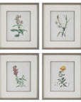 Heirloom Blooms - Study Framed Prints (Set of 4) - Green