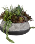 Yuma - Succulent Centerpiece - Gray