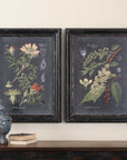 Midnight Botanicals - Wall Art (Set of 2) - Black